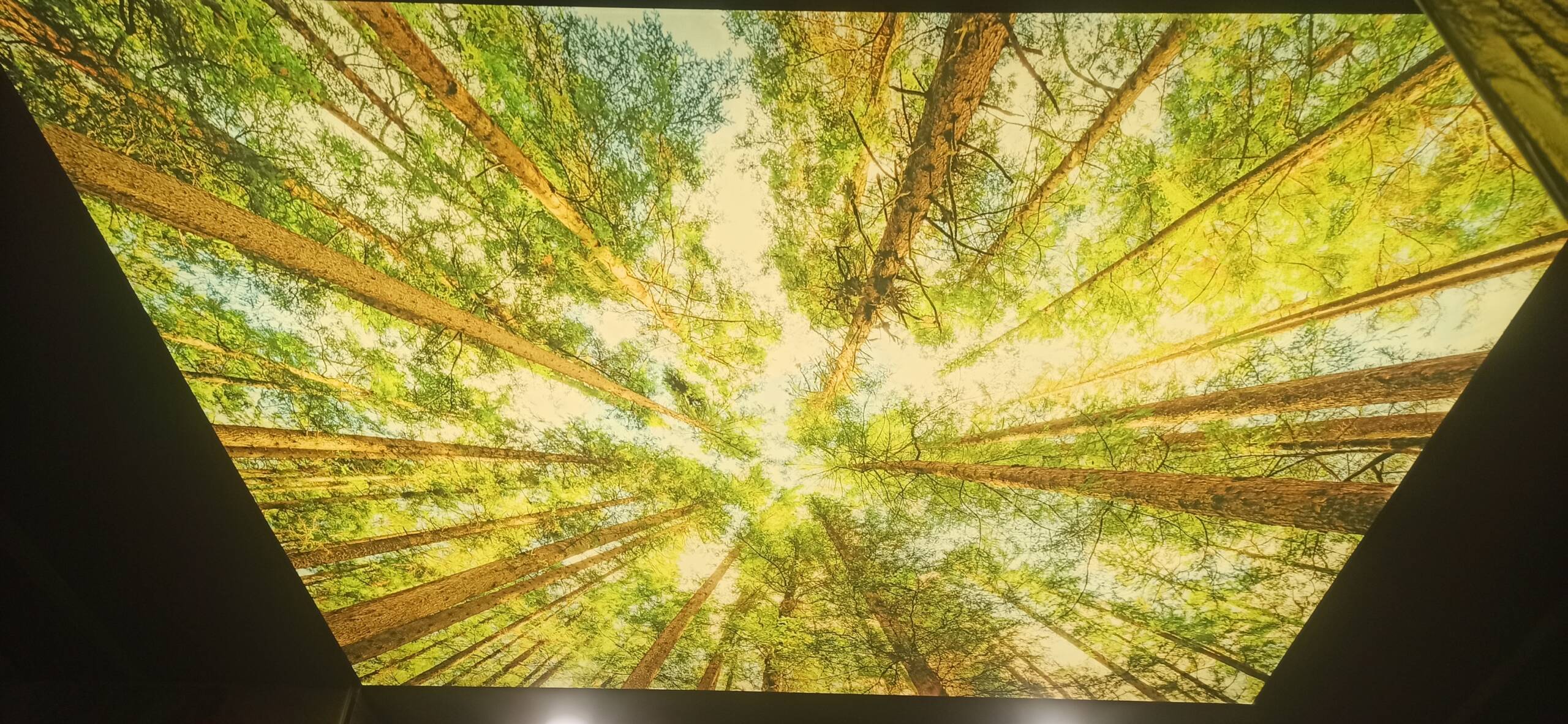 Oświetlenie i Design